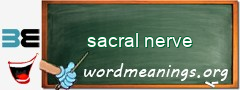 WordMeaning blackboard for sacral nerve